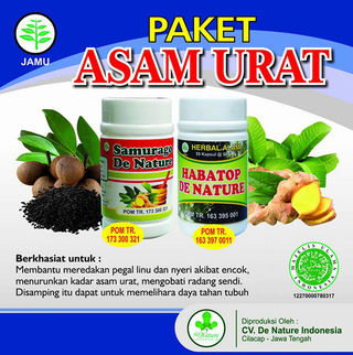 Illustration for article titled Obat Penyakit Asam Urat Alami